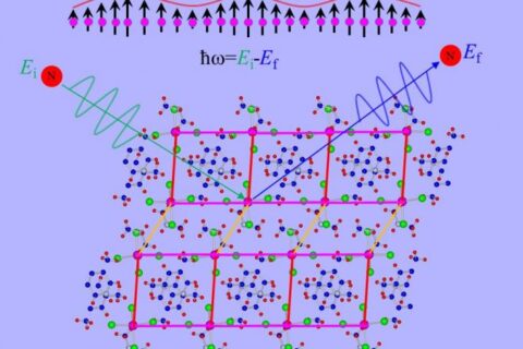 ORNL_Higgs_amp_mode_0